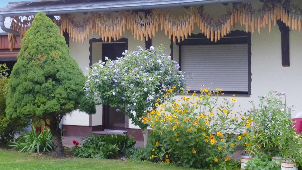 ExteriorSummer ExteriorSummer